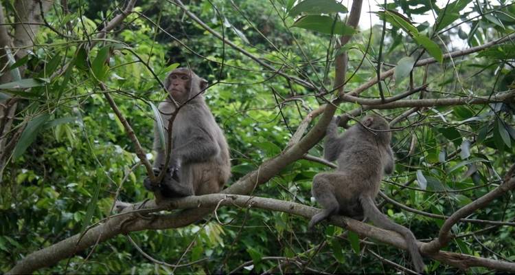 Circuito turístico clásico de Vietnam - 12 días - LVP Travel 3