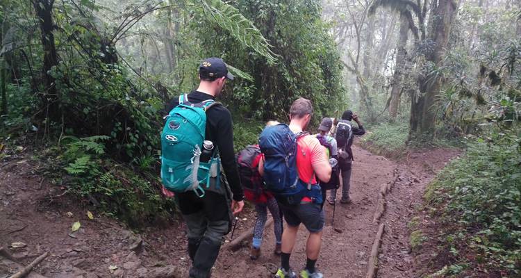 Route de Marangu - 5 jours - Kilisa Tours & Safaris 6