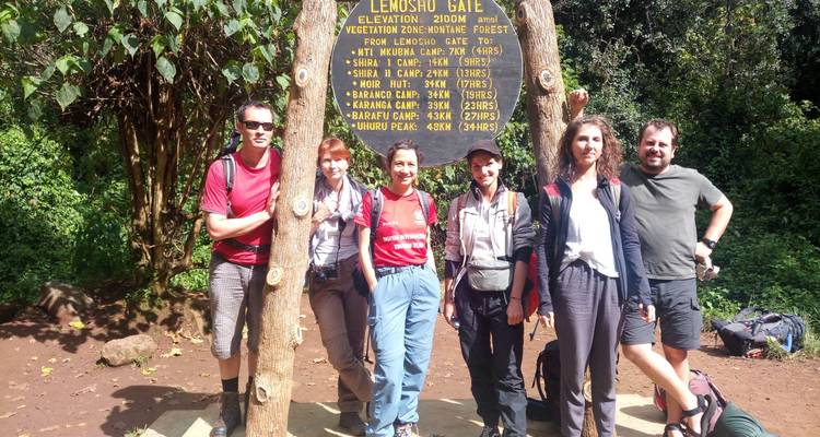 Lemosho Route - 8 Days - Kilisa Tours & Safaris 10