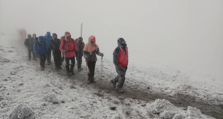 Lemosho Route - 8 Days - Kilisa Tours & Safaris 8