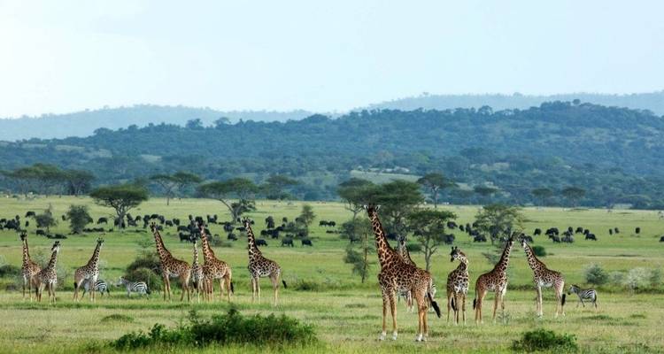 5 Days Tanzania Private Camping Safari - Exodus African Safari 3