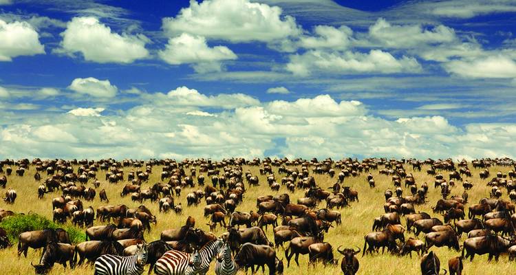 6 jours - Aventure safari en Tanzanie (Highlights of Tanzania Safari Adventure) - Exodus African Safari 3