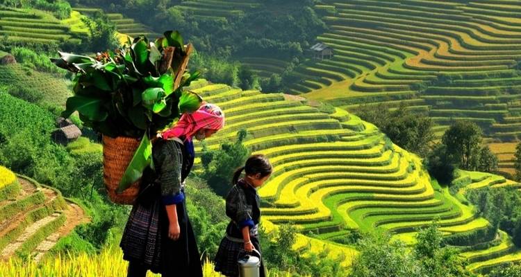 12 days Adventure in the North of Vietnam - Vietnam Travel Top 3