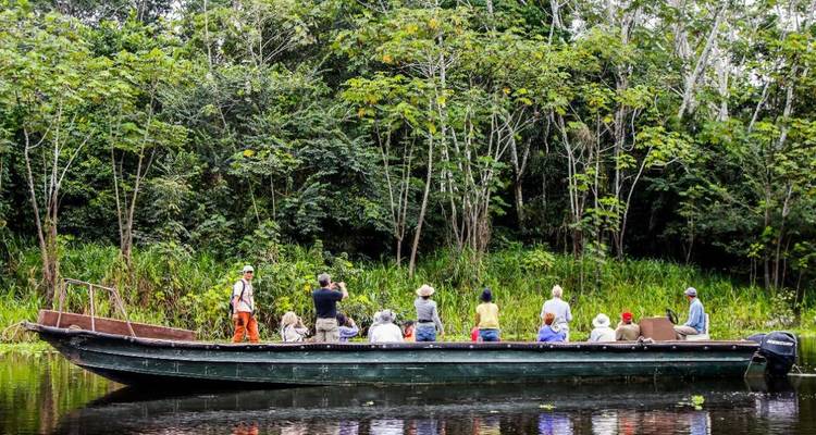 4 jours dans la jungle du Pérou - Réserve naturelle de Tambopata - America Viajes 8