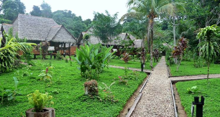 4 jours dans la jungle du Pérou - Réserve naturelle de Tambopata - America Viajes 9