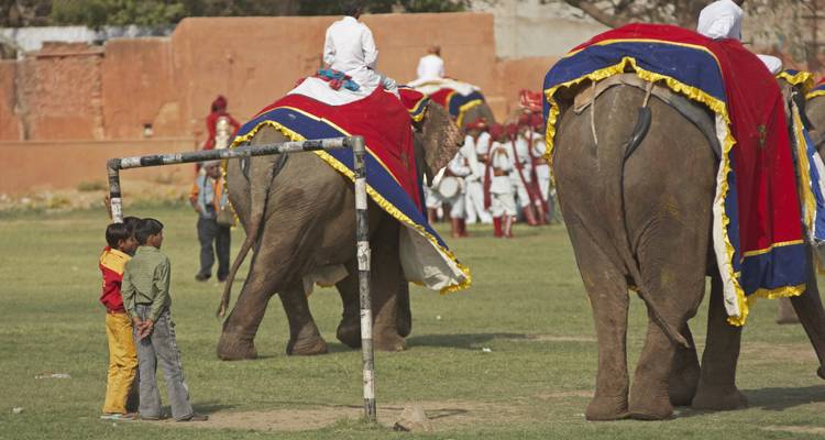 Circuit majestueux de 10 jours dans le Triangle d'Or avec Jodhpur et Udaipur - TOUT COMPRIS - Travel Con 3