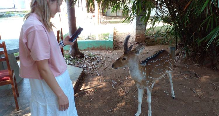 Vrouw die interacteert met een hert in een tuin.