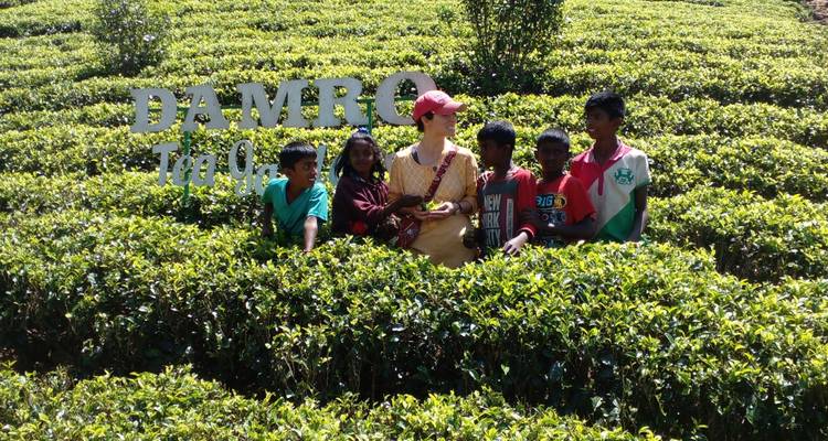 Groep kinderen met een vrouw in een theeplantage.
