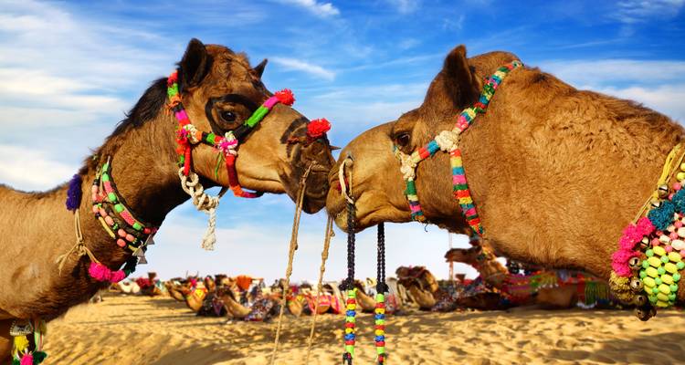 Circuito de 15 días por el Rajastán clásico con el elegante Taj Mahal - todo incluido - Travel Con 1