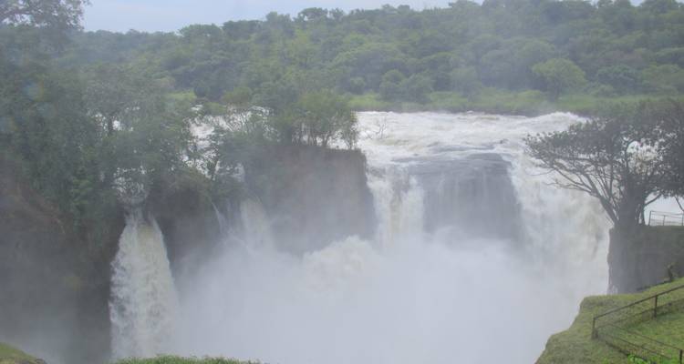 10 jours d'expérience exclusive des gorilles et de la faune en Ouganda - circuit privé - Mukisa Safaris Uganda 7