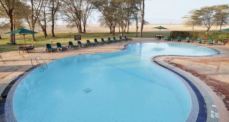Resort swimming pool surrounded by sun loungers and trees.
