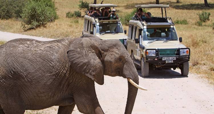 Safari de 5 jours à mi-parcours du meilleur de la Tanzanie - Exodus African Safari 8