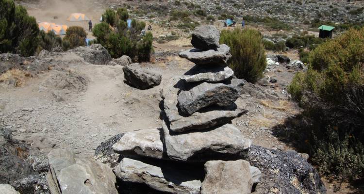 Subida al Kilimanjaro ruta Lemosho 7 días excursionismo, 9 días de excursión - Nomadic Adventures 7