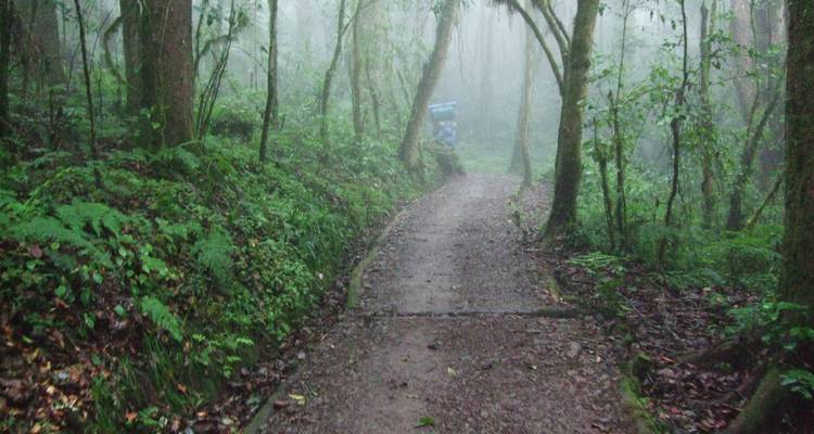 Subida al Kilimanjaro ruta Lemosho 7 días excursionismo, 9 días de excursión - Nomadic Adventures 2