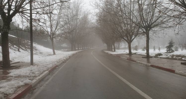 Een mistige weg geflankeerd door bomen en met sneeuw bedekte zijkanten.