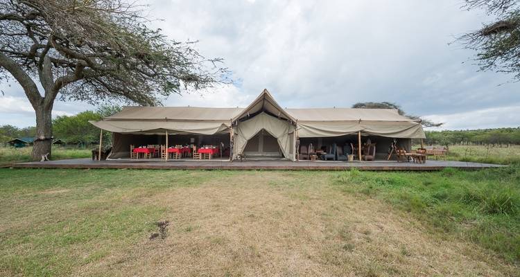 7 Days Kenya and Tanzania private  medium range driving safari - CKC Tours & Travel 4