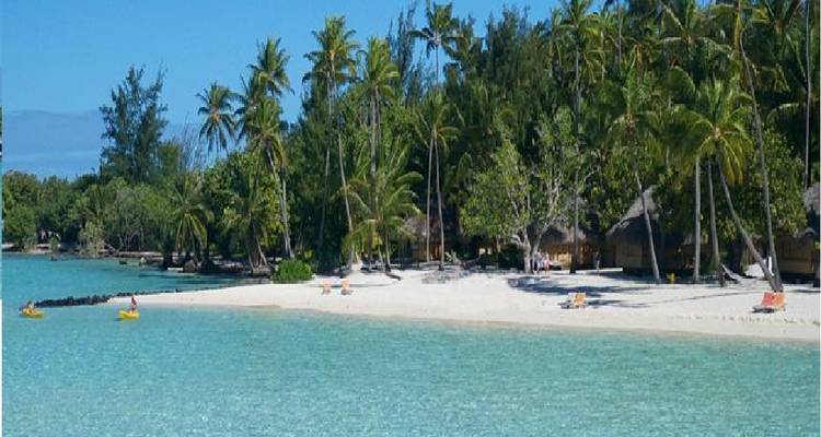 Plage tropicale avec du sable blanc et des palmiers