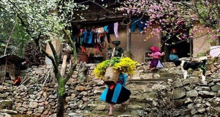 Sapa 3 días 2 noches senderismo Desde Hanoi - 2 noches en hotel - Vietnam Travel Top 6