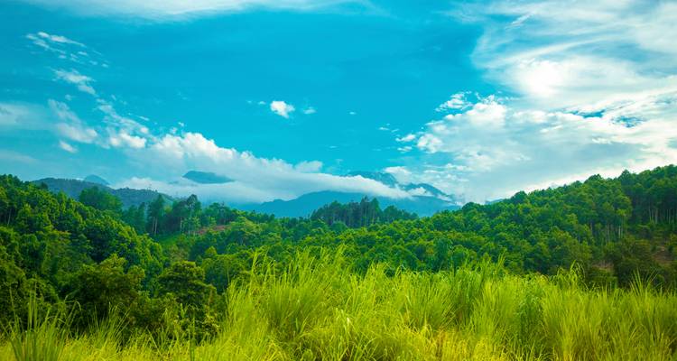 Les collines verdoyantes et les pics lointains couronnés de nuages sous un ciel bleu éclatant dans le nord du Vietnam.