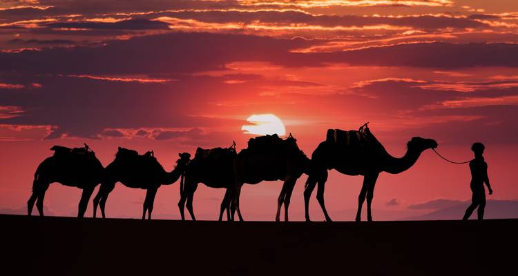 DÉSERT DE MERZOUGA ET VILLES IMPÉRIALES. 5 JOURS/4 NUITS AU DÉPART DE MARRAKECH - Discover Morocco Tours 7