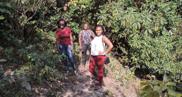 3 Days Uganda Gorilla Trekking Experience from Kigali - New Horizon Africa Safaris 10