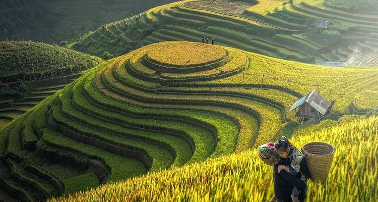 Sapa senderismo y Turismo: Sapa - laochai - Tavan - Catcat - sinchai - Ma Tra - Ta Phin durante 3 días 4 noches - Crossing Vietnam Tour 1