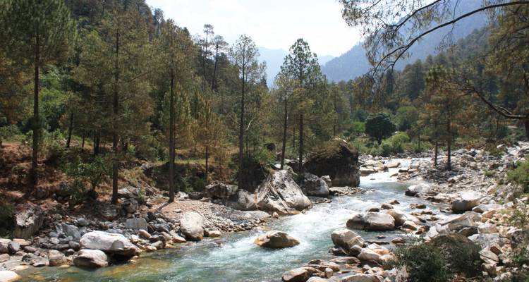 Paseos de 7 días por las estribaciones - Shimla Walks 4