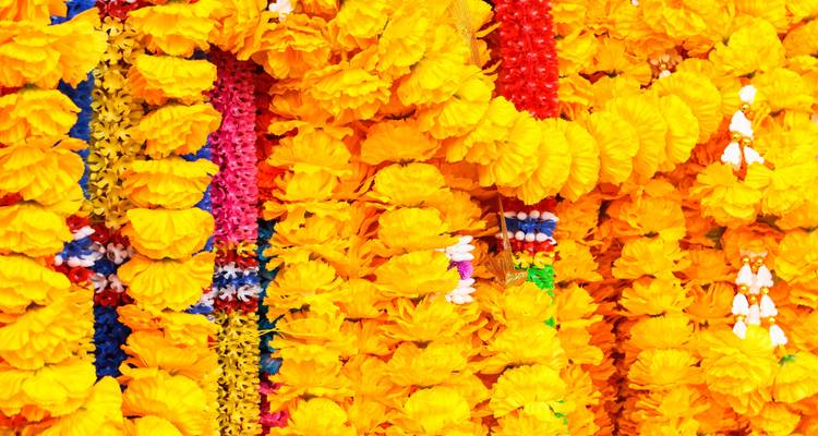 Triángulo de Oro con Haridwar y Rishikesh, Supersalvador - Le Passage to India 4