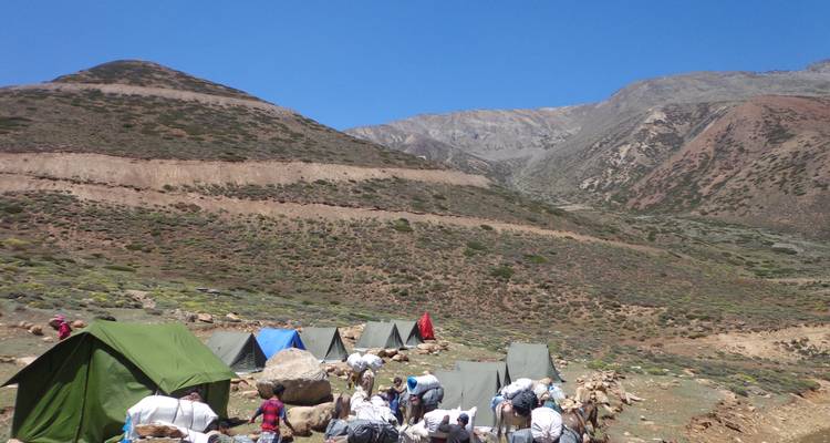 Campsite with tents and animals in a mountainous region.