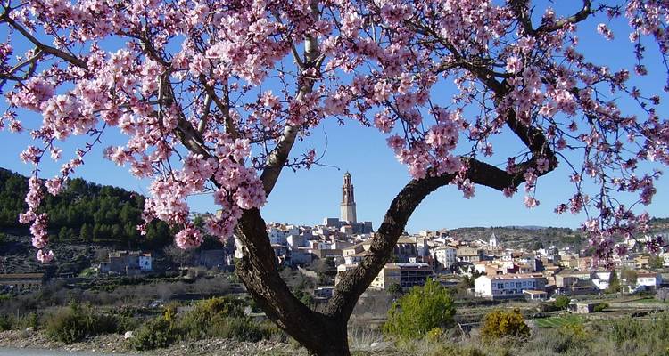 Valence Méditerranée en 3 étapes - Mediterranean Bike Tours 10