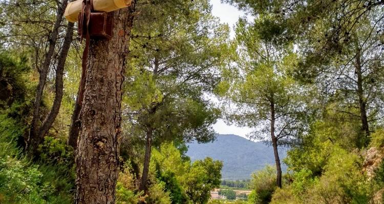 Finding the Treasures of Ojos Negros - Mediterranean Bike Tours 6