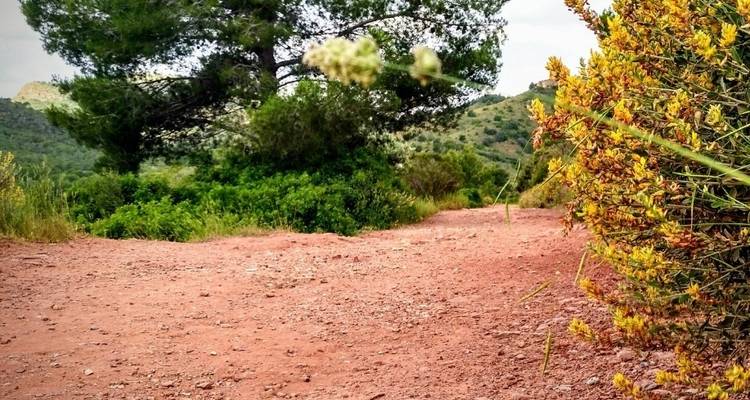 Finding the Treasures of Ojos Negros - Mediterranean Bike Tours 9