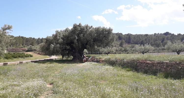Jérica, le joyau caché - Mediterranean Bike Tours 10