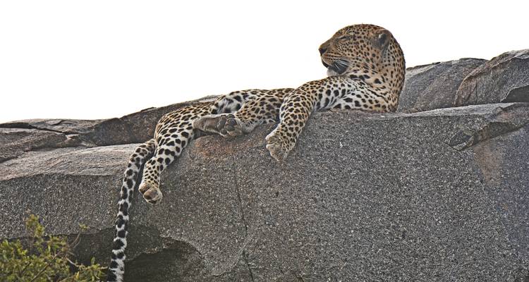 Tanzania  Photographer Safari & Tours - Hazzes Adventure 1
