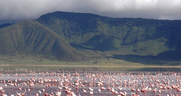 3 Days Ngorongoro Highland Trekking - Hazzes Adventure 1