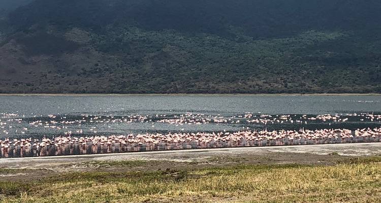 3 Days Ngorongoro Highland Trekking - Hazzes Adventure 3