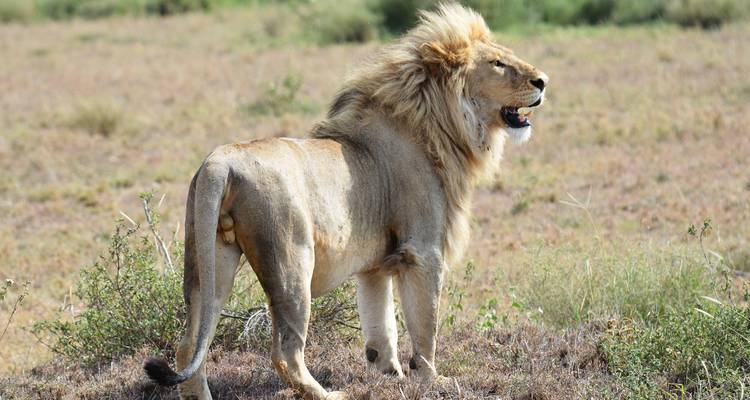 Tanzania Adventure Safari - Hazzes Adventure 3