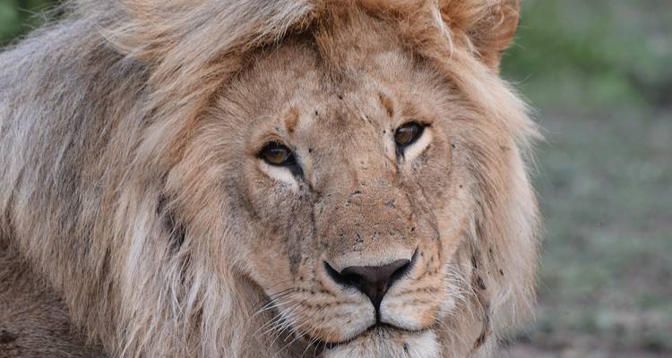 Tanzania Adventure Safari - Hazzes Adventure 10