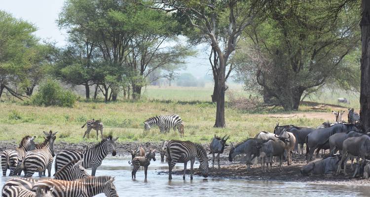 Tanzania Adventure Safari - Hazzes Adventure 6
