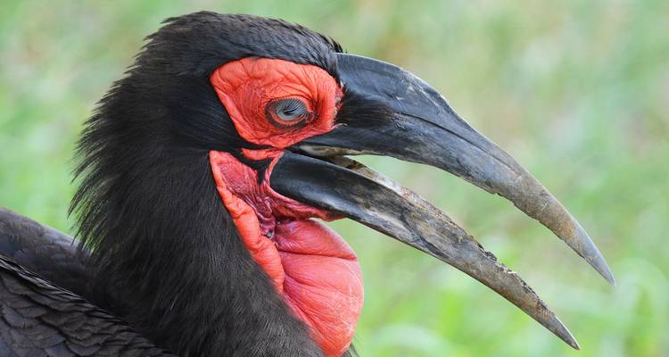 4 jours de safari en Tanzanie - Hazzes Adventure 6