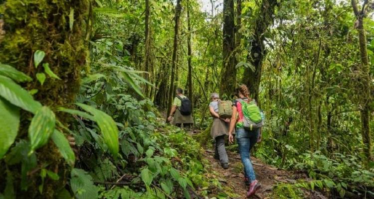 Ecuador Cloud Forest 5 Days Hiking Tour - GUIDEcuador Travel 1