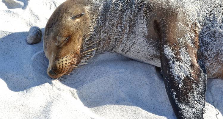 Ecuador Big Five 18 Days Tour - GUIDEcuador Travel 9