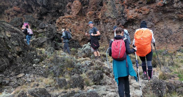 Route de Shira - 7 jours - Kilisa Tours & Safaris 8