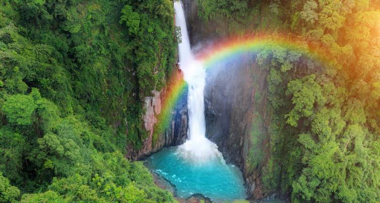 Waterfall with a vivid rainbow in a lush green forest.