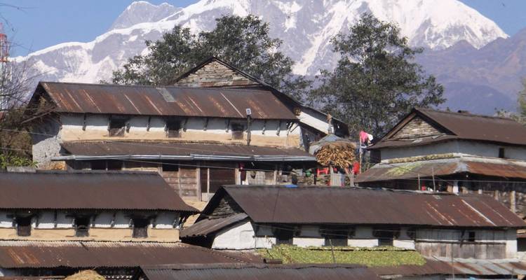 Excursionismo en campamento australiano Dhampus - Himalayan Adventure Treks & Tours 7