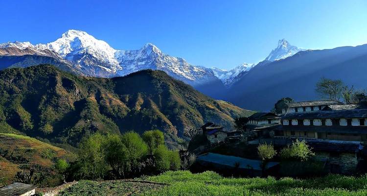 Excursionismo en campamento australiano Dhampus - Himalayan Adventure Treks & Tours 3