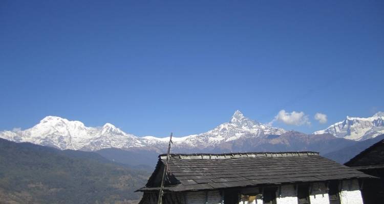 Excursionismo en campamento australiano Dhampus - Himalayan Adventure Treks & Tours 2