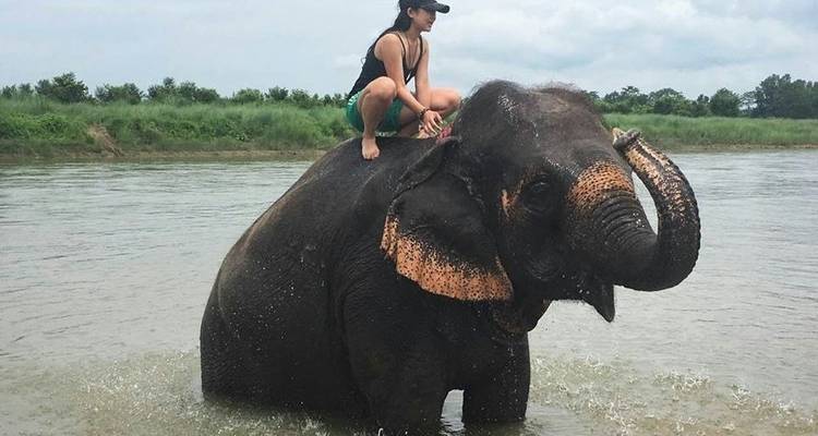 Safari dans la jungle de Chitwan - White Hill Adventure Treks and Expedition Pvt Ltd 2