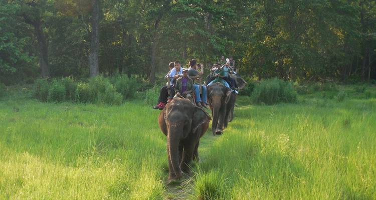Safari dans la jungle de Chitwan - White Hill Adventure Treks and Expedition Pvt Ltd 6
