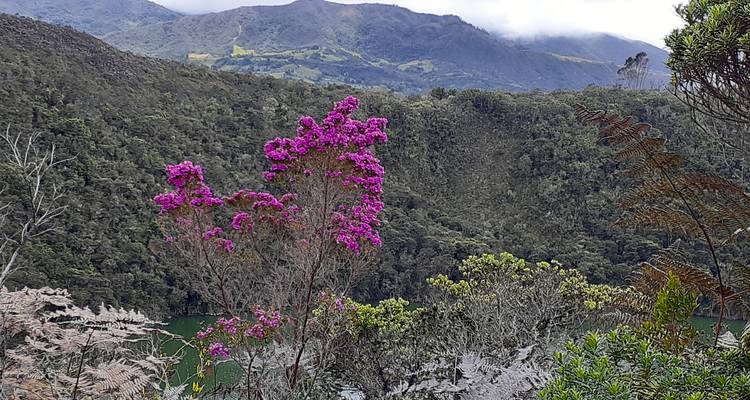 Lo mejor de Colombia en 15 días - GUIDEcuador Travel 7